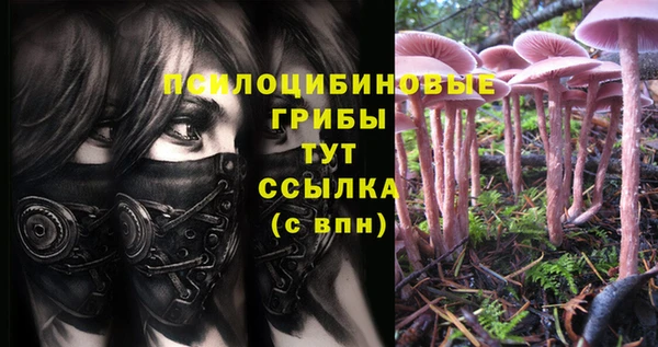 винт Киренск