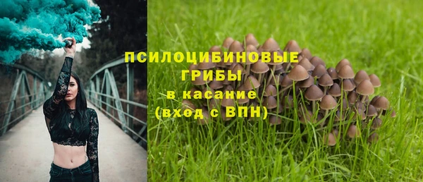 винт Киренск