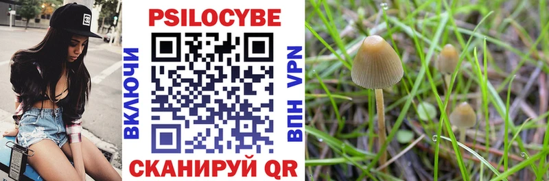 Купить  Кингисепп  Псилоцибиновые грибы ЛСД 